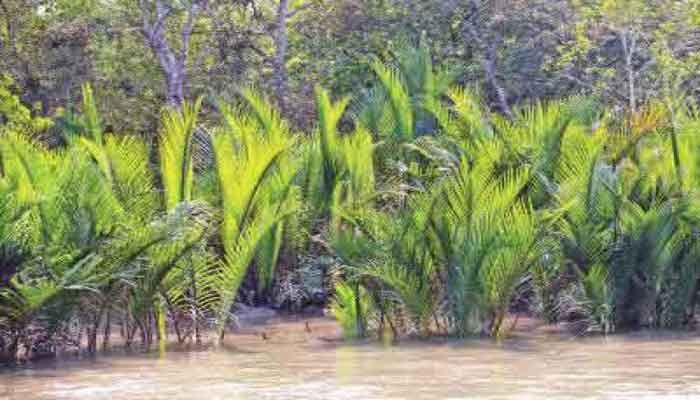 পর্যটন খাতে পড়ে আছে অপার সম্ভাবনা পর্যটন খাতে পড়ে আছে অপার সম্ভাবনা