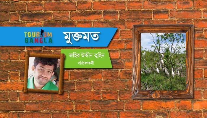 এখন এরা মুক্ত বিহঙ্গ এখন এরা মুক্ত বিহঙ্গ