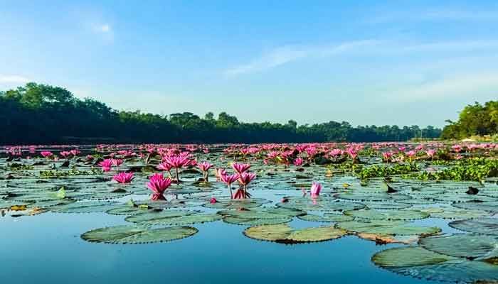 সম্ভাবনাময় প্রাকৃতিক সৌন্দর্যের লীলাভূমি আন্দু লেক সম্ভাবনাময় প্রাকৃতিক সৌন্দর্যের লীলাভূমি আন্দু লেক