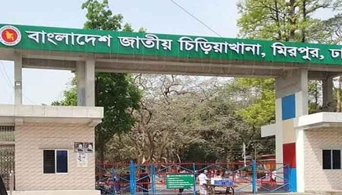 ফাইল ছবি ফাইল ছবি