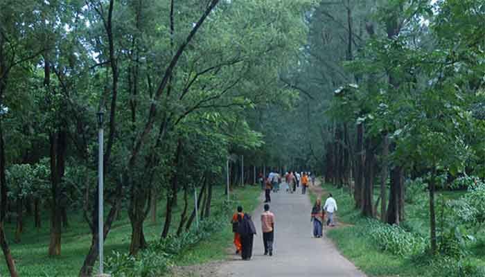 ফাইল ছবি ফাইল ছবি