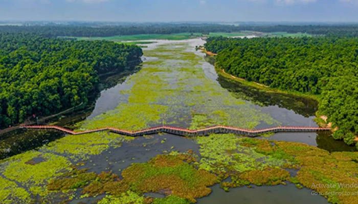 প্রকৃতির অপার দান আশুরার বিল 