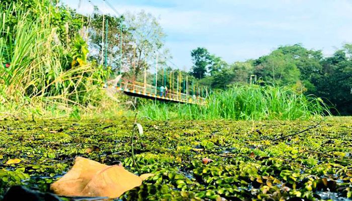 পর্যটক হারাতে বসেছে বাঁশখালী ইকোপার্ক