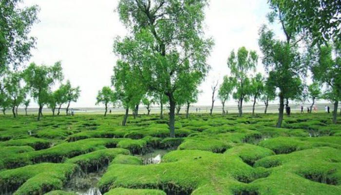 গুলিয়াখালী সমুদ্র সৈকতকে পর্যটন এলাকা ঘোষণা
