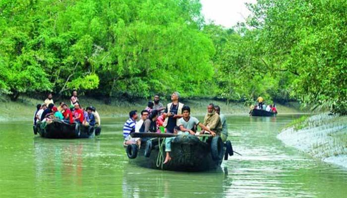 পর্যটক কমছে সুন্দরবনে, রাজস্ব নিয়ে শঙ্কা