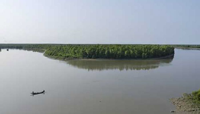 জলবায়ু পরিবর্তনে হুমকিতে সুন্দরবন