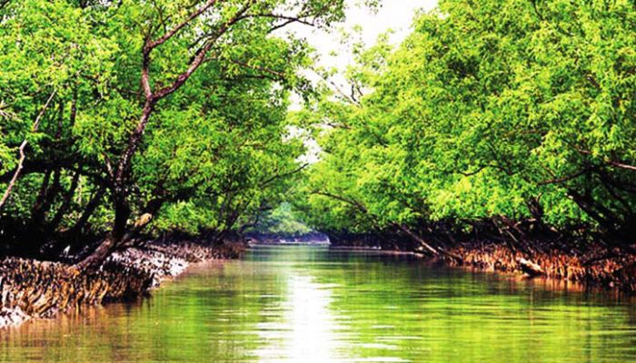 সুন্দরবন ভ্রমণের খরচ বাড়ল, শঙ্কায় পর্যটন ব্যবসায়ীরা সুন্দরবন ভ্রমণের খরচ বাড়ল, শঙ্কায় পর্যটন ব্যবসায়ীরা
