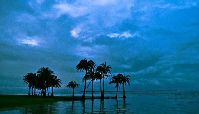নিঝুম দ্বীপ ঘিরে নোয়াখালীর পর্যটন শিল্পের যে সম্ভাবনা নিঝুম দ্বীপ ঘিরে নোয়াখালীর পর্যটন শিল্পের যে সম্ভাবনা