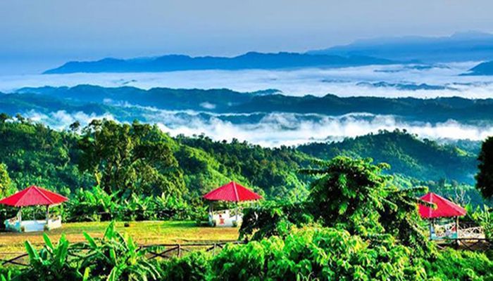 পর্যটকদের জন্য উন্মুক্ত সাজেক