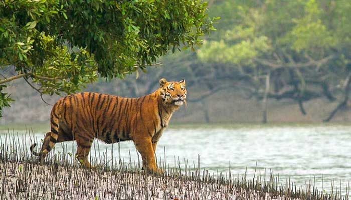 পরিবেশ-প্রতিবেশ থাকুক অগ্রাধিকারে