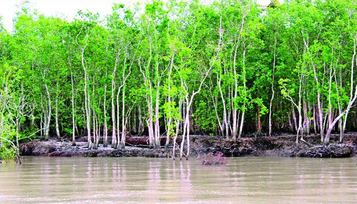 সুন্দরবন নাশ করে মনোরঞ্জনের আয়োজন