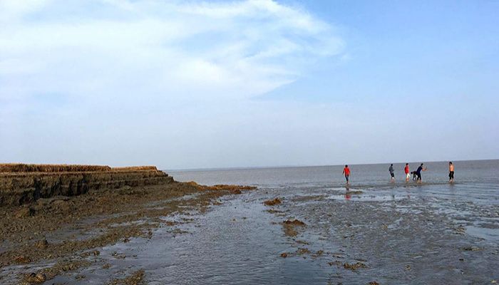 চিরহরিৎ দেখার ডায়েরি