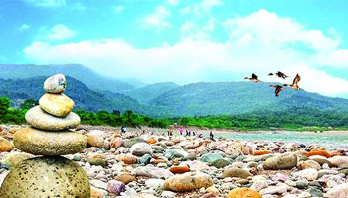 সিলেটে সাদা সোনা লুটের ‘মহোৎসব’