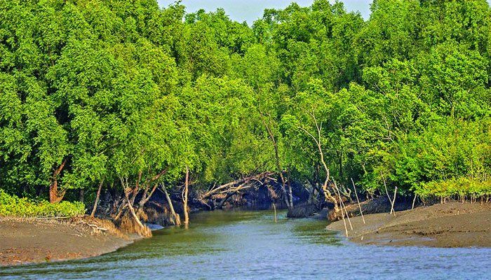 সুন্দরবনে চালু হচ্ছে আরও ৪ ইকো-ট্যুরিজম সেন্টার