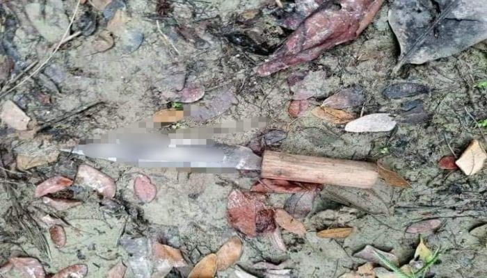 সুবর্ণচরে সাইকেল বিক্রির টাকা চাওয়ায় সহপাঠিকে ছুরিকাঘাত সুবর্ণচরে সাইকেল বিক্রির টাকা চাওয়ায় সহপাঠিকে ছুরিকাঘাত