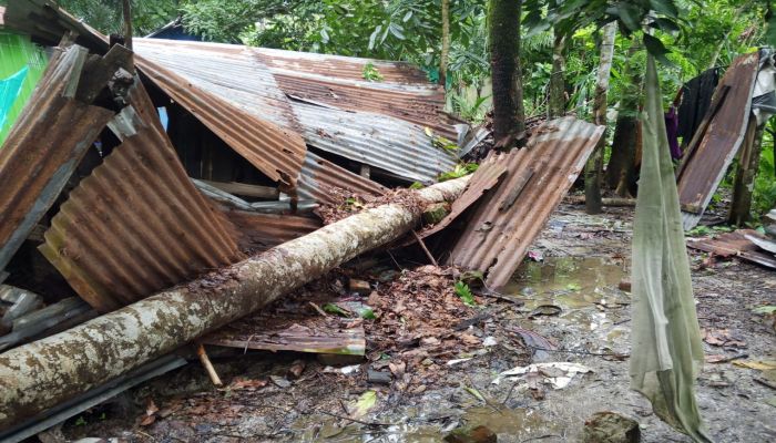 সুবর্ণচরে আকস্মিক টর্নেডো: ঘরবাড়ি-গাছপালা লণ্ডভণ্ড